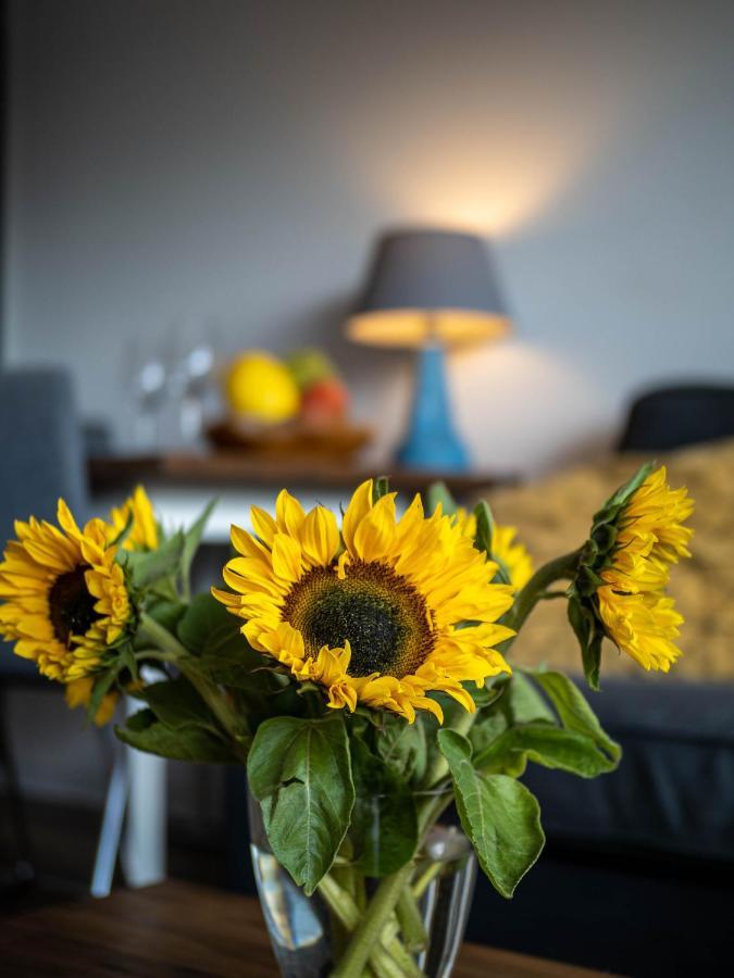 Abendsonne Appartement Wenningstedt-Braderup